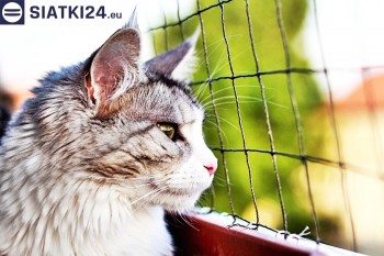 Siatki Cieszyn - Siatka na balkony dla kota i zabezpieczenie dzieci dla terenów Cieszyna