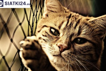 Siatki Cieszyn - Siatki na balkony - zabezpieczenie dzieci i zwierząt dla terenów Cieszyna