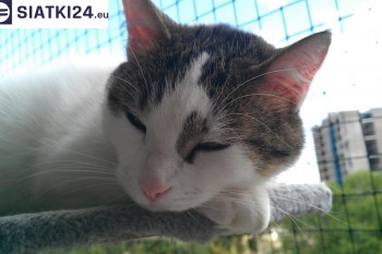 Siatki Cieszyn - Siatka na balkony dla kota i zabezpieczenie dzieci dla terenów Cieszyna