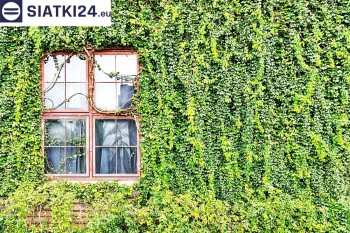 Siatki Cieszyn - Siatka z dużym oczkiem - wsparcie dla roślin pnących na altance, domu i garażu dla terenów Cieszyna